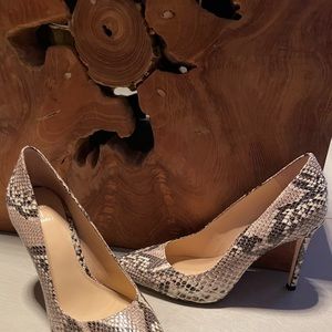 Shoes snake print never been worn